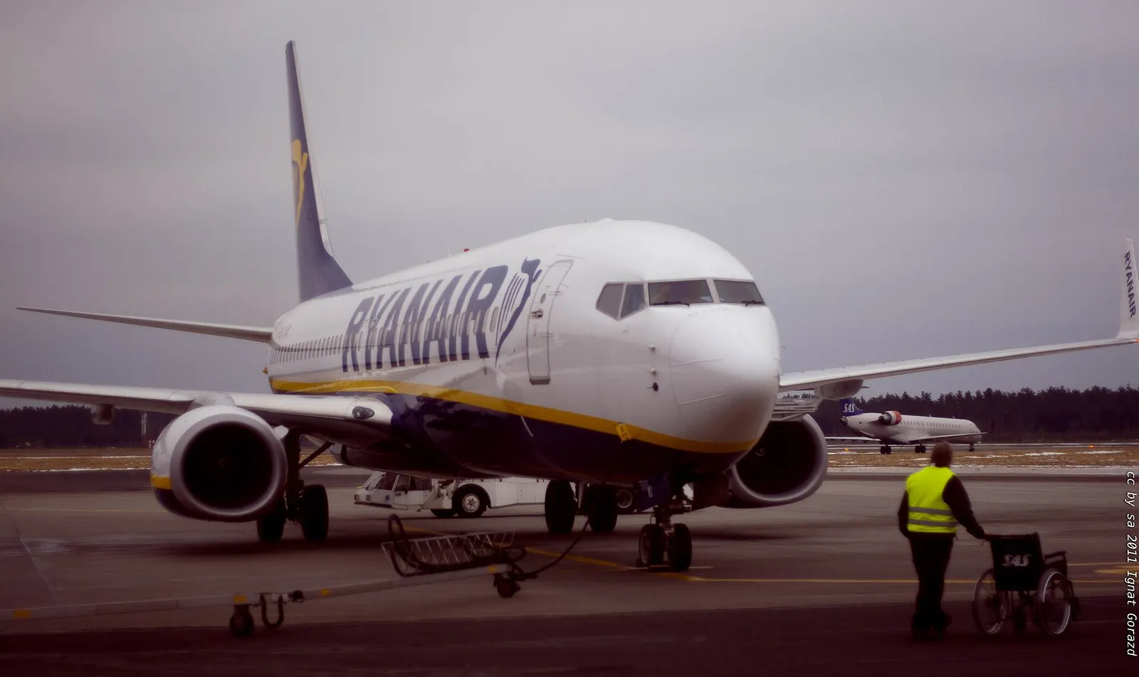 The plane