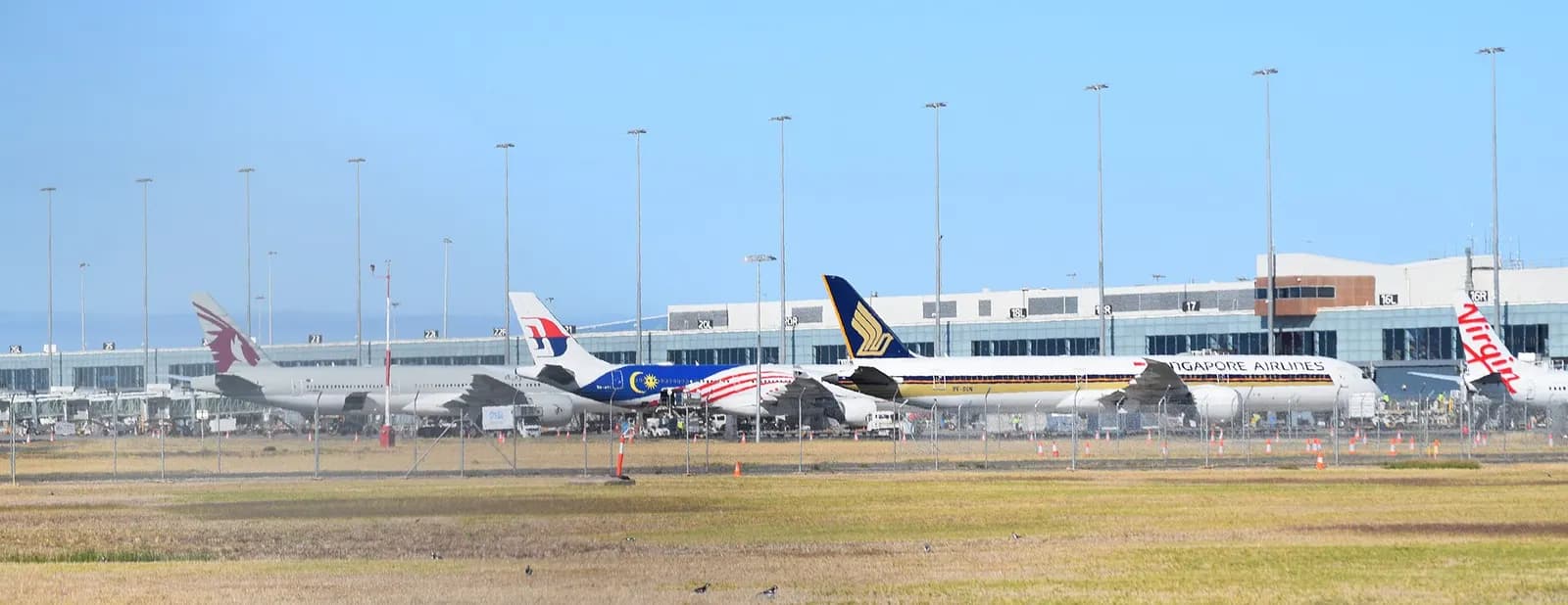 Qatar, Malaysia Airlines and Singapore airlines are all parked at the international gates at adelaide airport on December 31st 2024.