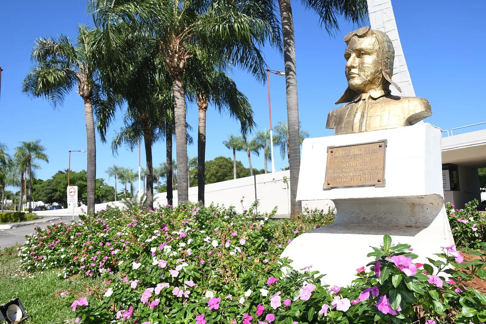 Golden bust of aviator Silvio Pettirossi on a white pedestal among pink flowers and tall palm trees at the airport grounds.