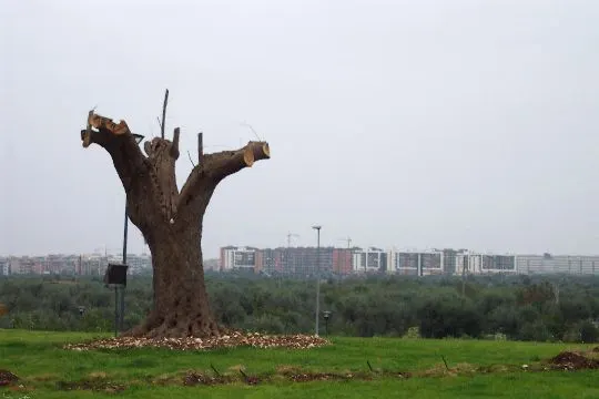 Exterior view across Bari Airport terminal and apron area
