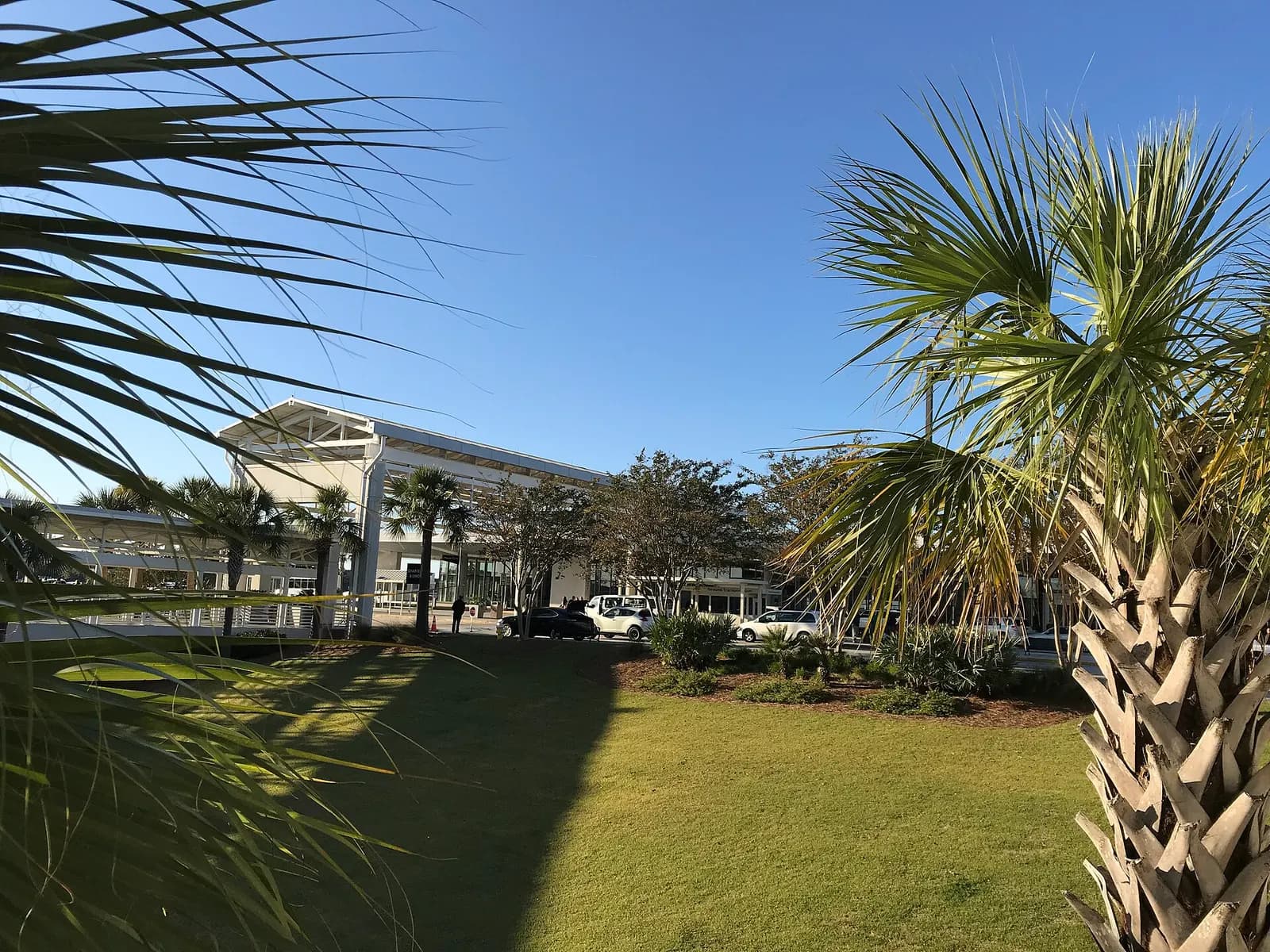 White Charleston International terminal facade and canopy seen across a lawn with palmettos under a clear sky.
