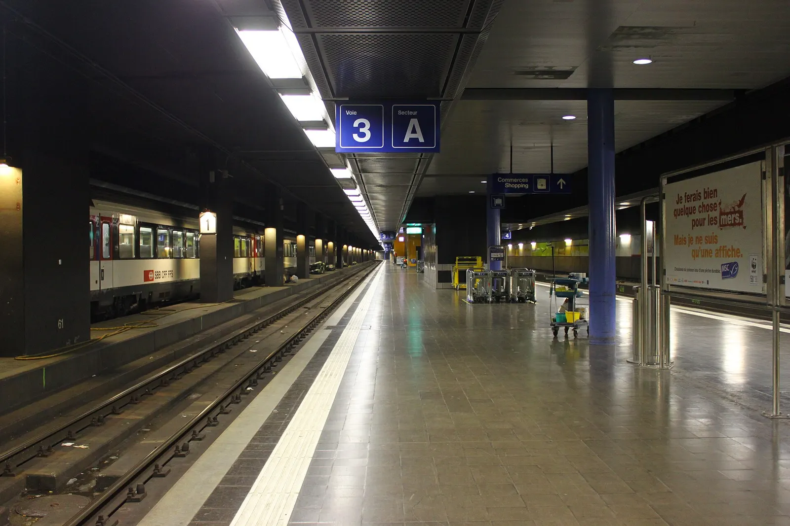 Underground railway platforms at Genève-Aéroport station with tracks, lighting, and platform markings.