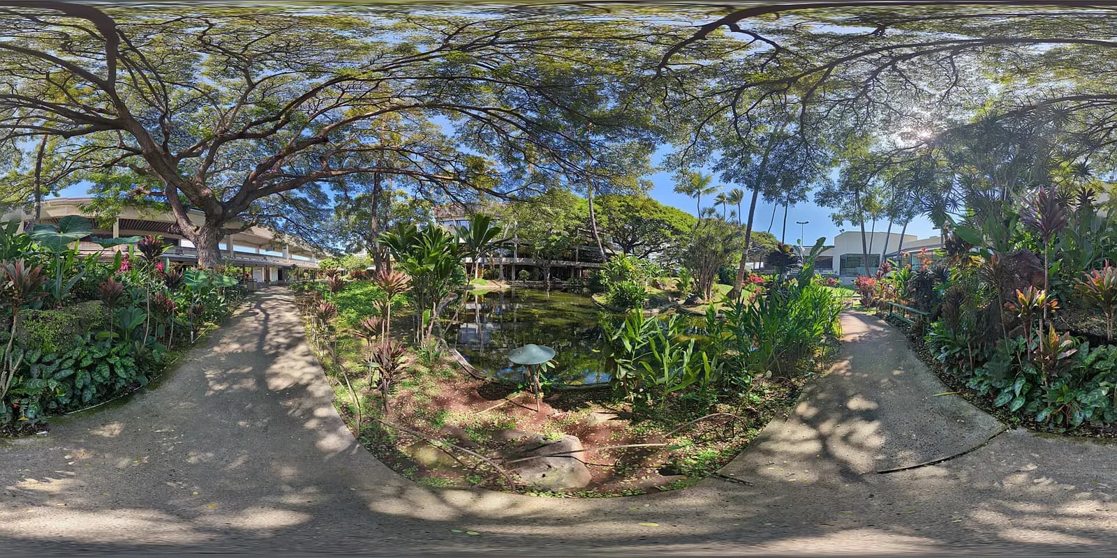 Daniel K. Inouye International Airport's Hawaiian Garden