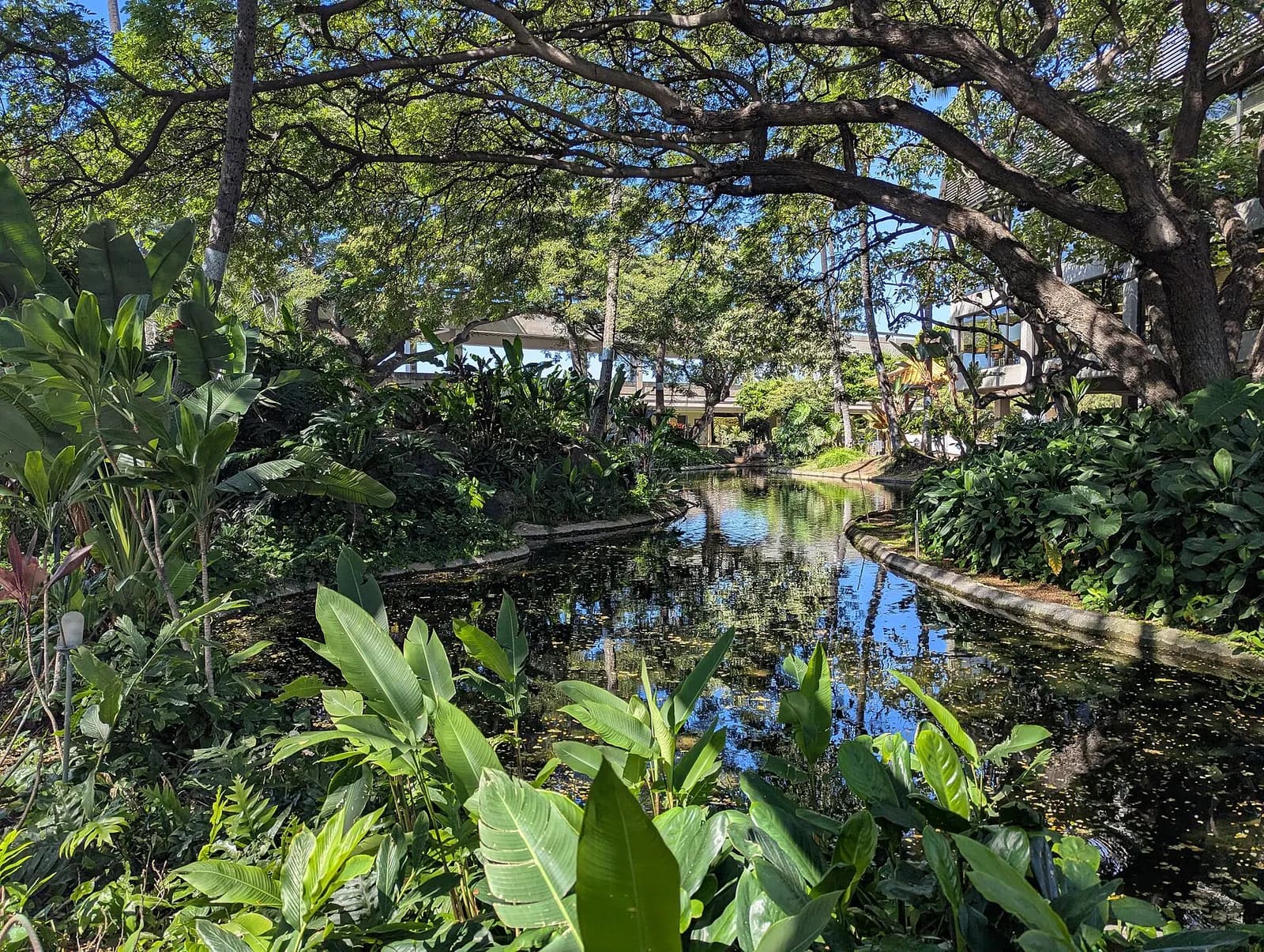 Daniel K. Inouye International Airport's Hawaiian Garden