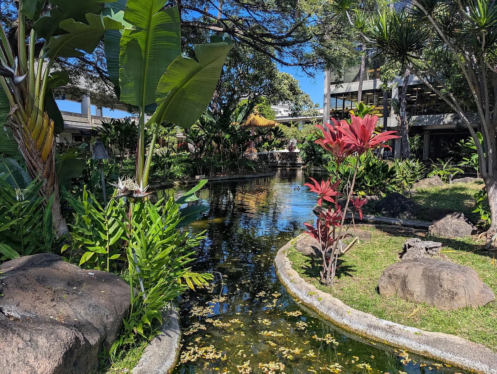 Daniel K. Inouye International Airport's Hawaiian Garden