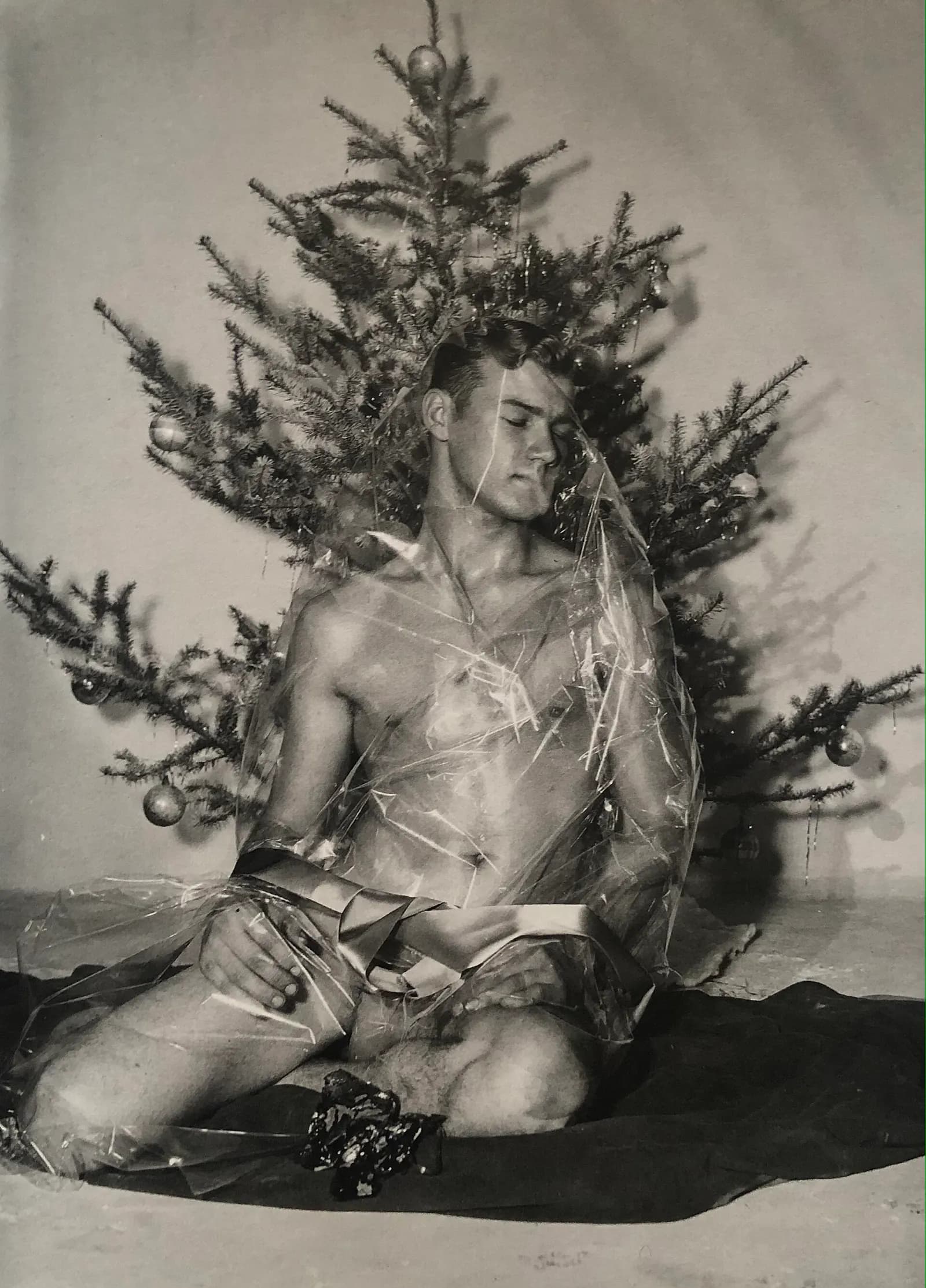 Bill Seiner