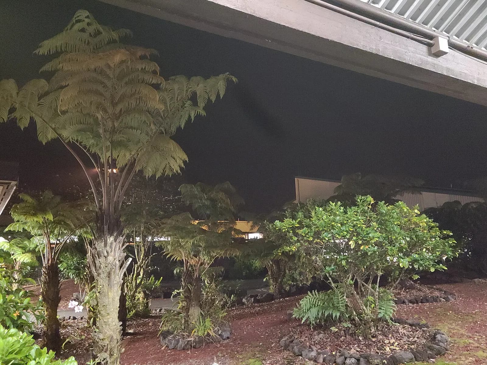 Hilo International Airport terminal and airfield in early morning darkness, December 2021