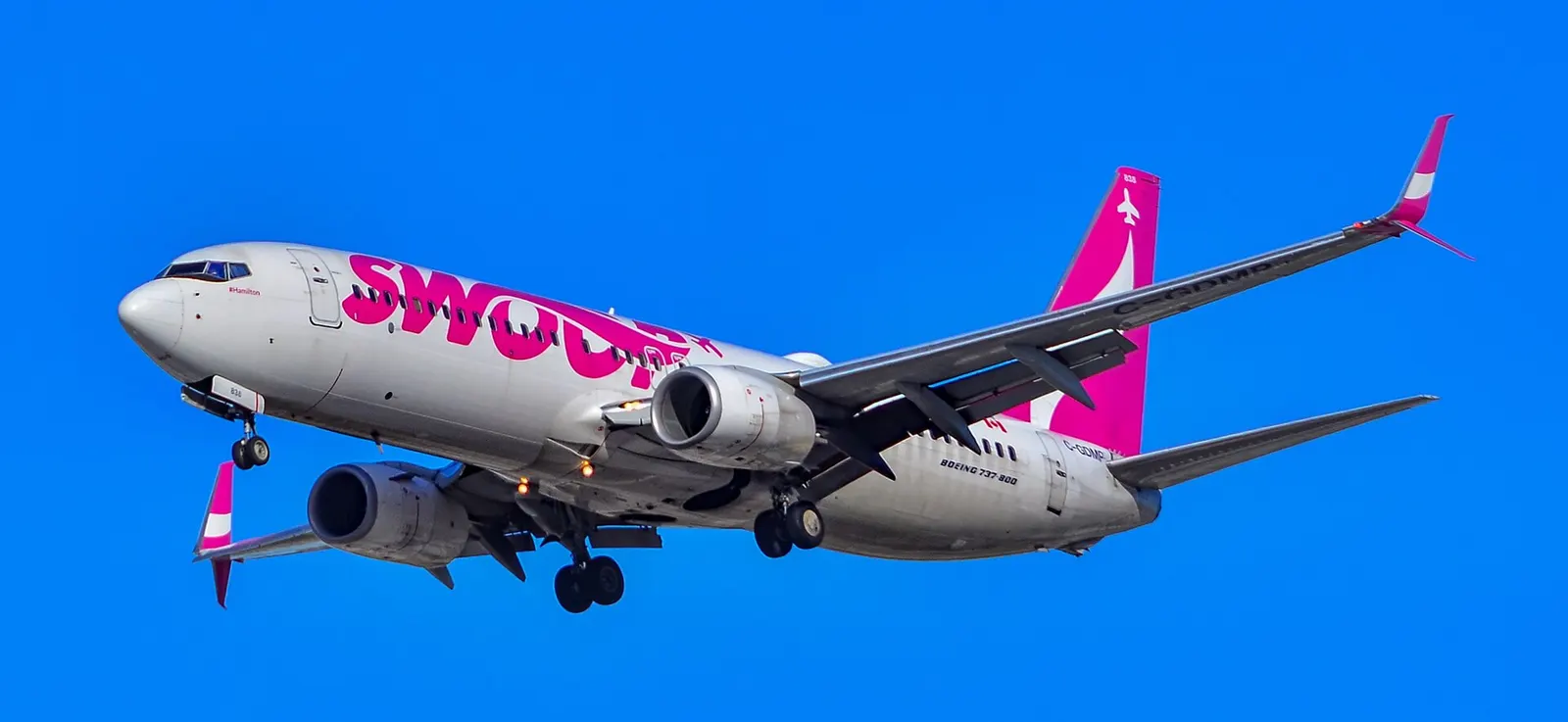 N 60131 Swoop WestJet Boeing at Harry Reid International Airport KLAS