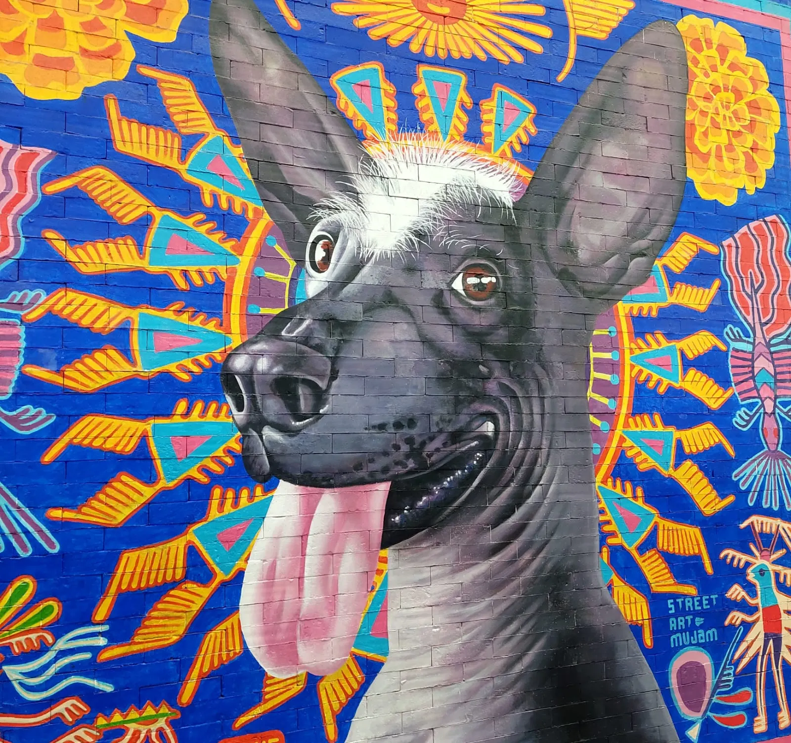 Large colorful mural of a Xoloitzcuintle dog painted on a wall inside the airport terminal.