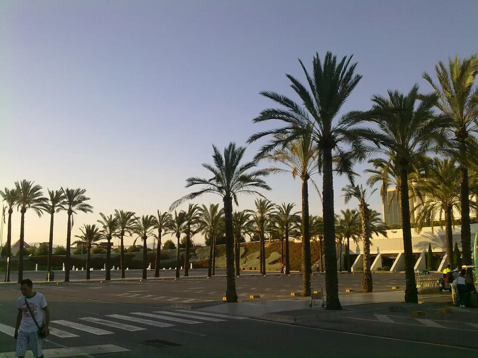 An outdoor bus station with shelters and bays sits beside the airport, serving public and intercity routes.