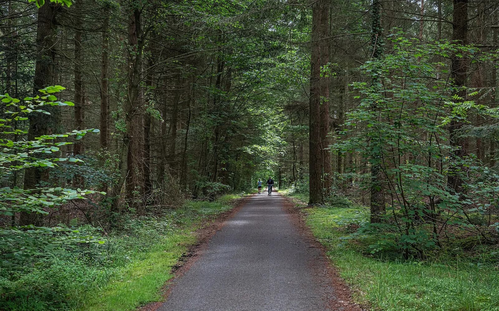 Road approach from Rønne toward Bornholm Airport