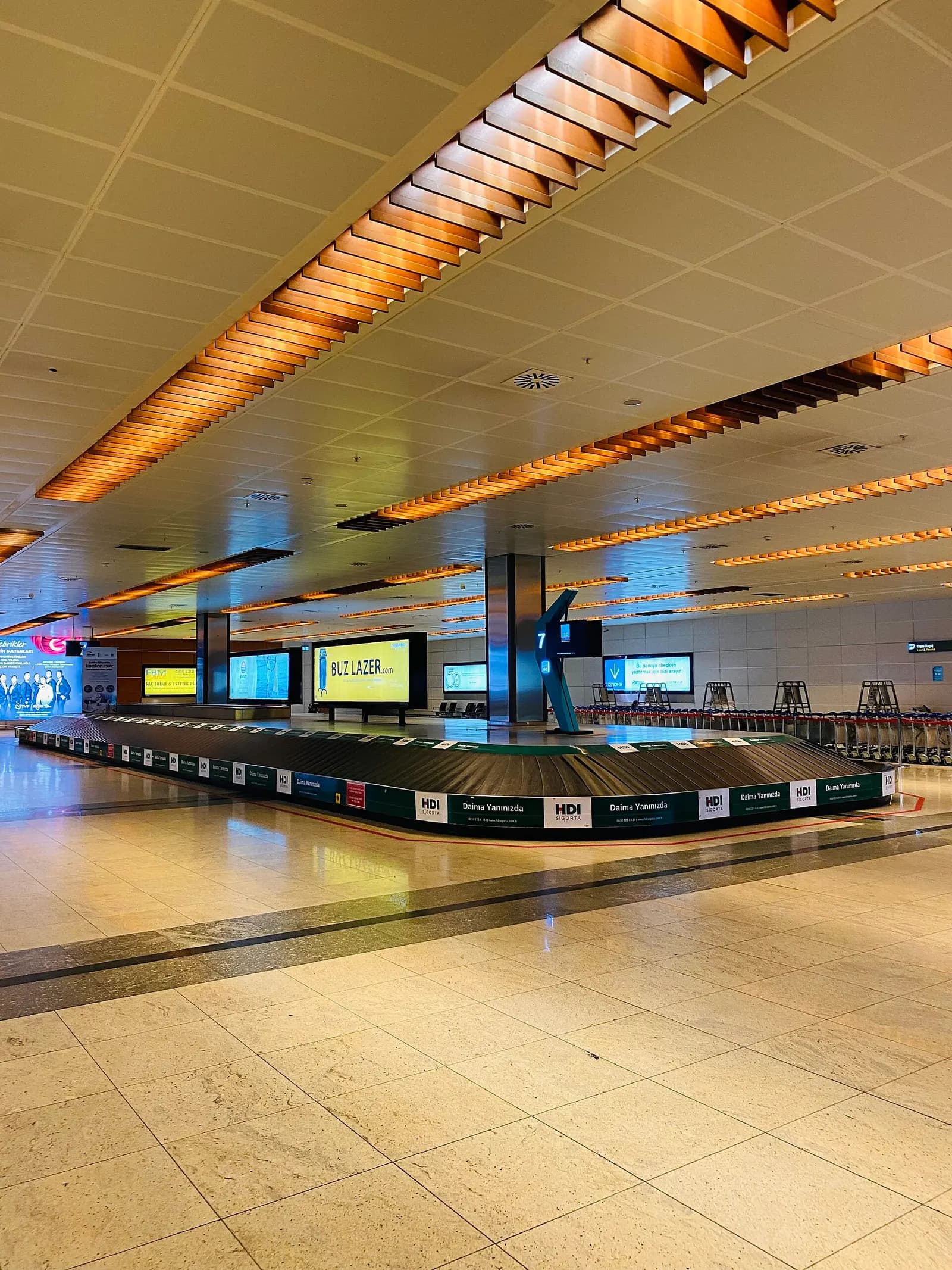 The domestic arrivals baggage claim hall with luggage carousels and overhead directional signs.