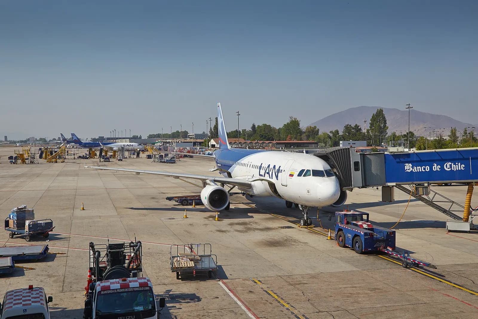 A row of boarding gates with jet bridges, gate signage, and passenger seating along a sunlit concourse.