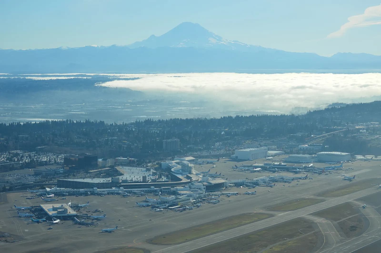 Sea-Tac's multi-story terminal buildings stretch across the frame with snow-capped Mount Rainier rising behind them under a clear sky.