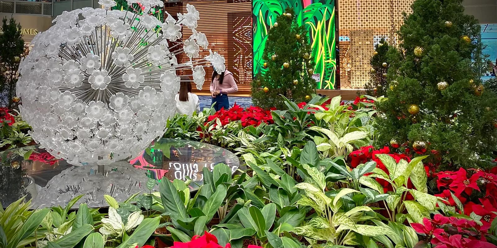 A wide indoor garden with trees, shrubs, and walking paths sits inside a bright Changi Airport terminal beneath a high glass ceiling.
