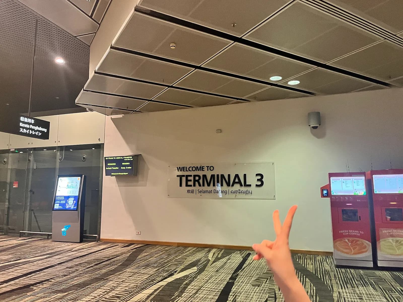 A large welcome sign reading Terminal 3 greets arriving passengers in the Changi Airport arrivals hall.