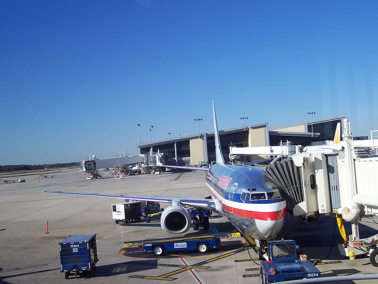 American Airlines 737-800 at Tampa International, Gate F78