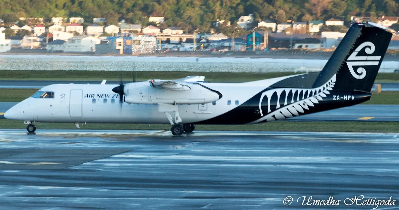 Air New Zealand Dash 8 ZK-NFA on the wet runway at Wellington Airport